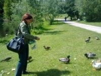 Фотоконкурс: Дистанция