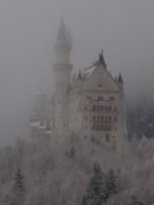 SDC10562.JPG
