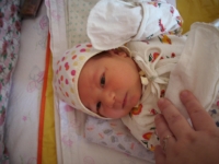 Анатолий 23-01-2010