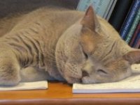Фотоконкурс: Звериная учёба