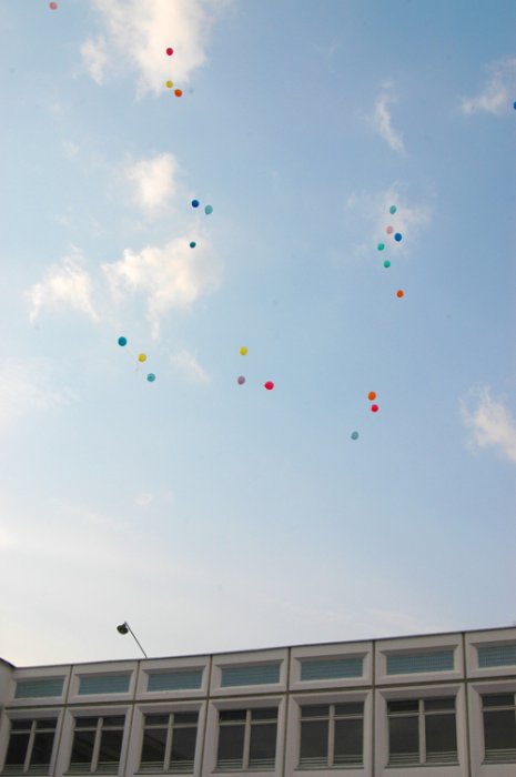 DSC_9096.jpg
