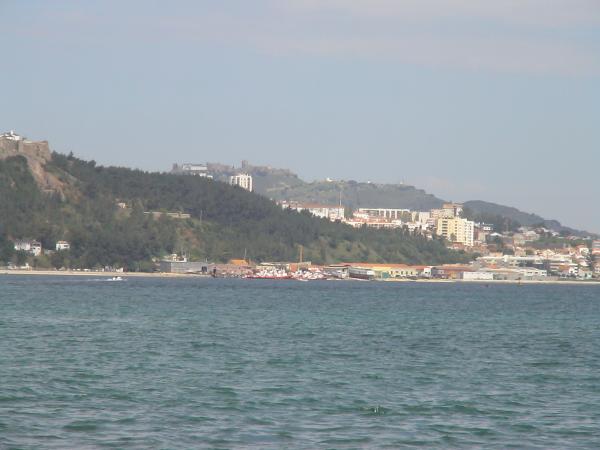 979542.jpg