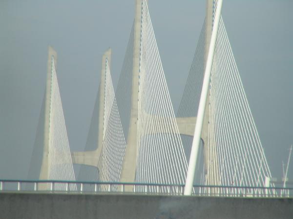 979806.jpg