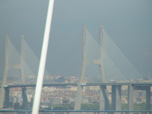 993253.jpg