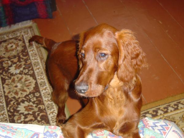 230008.jpg