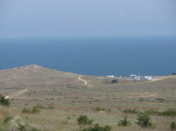 3631744.jpg