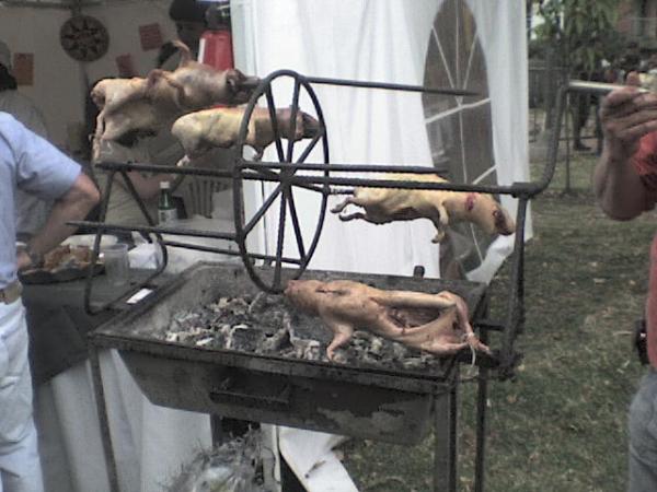 2010509.jpg