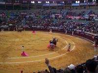 La corrida