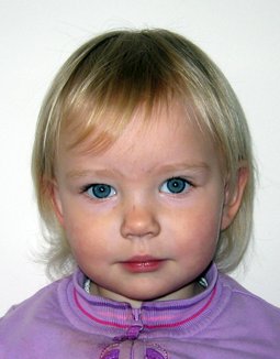 1653375.jpg