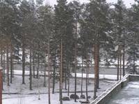 Снег