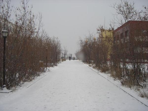 663652.jpg
