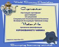 Диплом:)