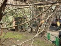 Весеннее настроение