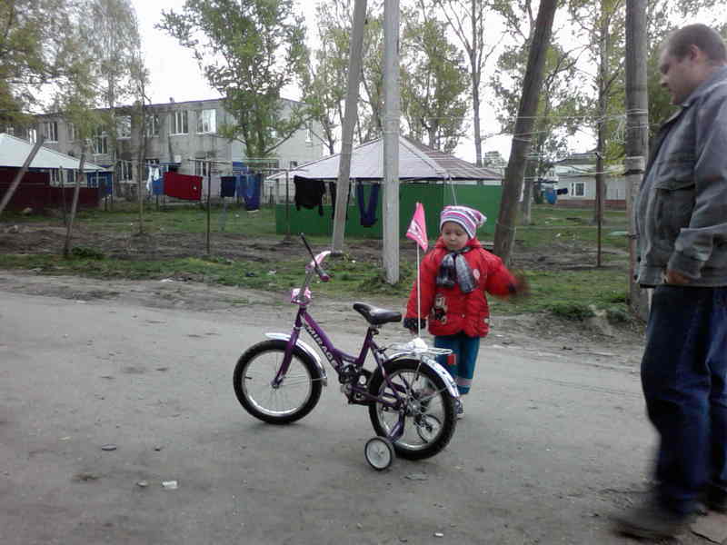 2657166.jpg