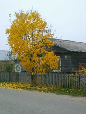 188579.jpg
