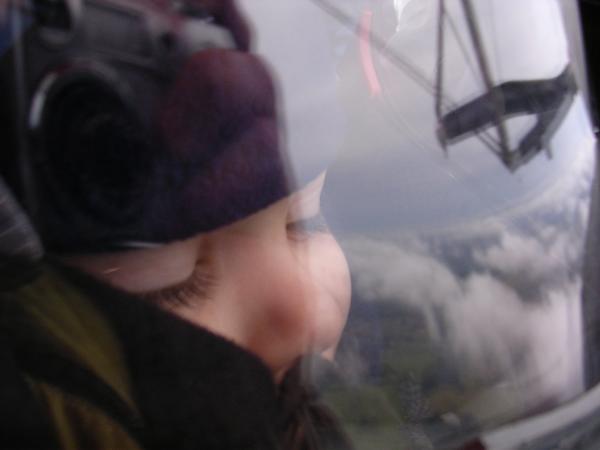 604995.jpg
