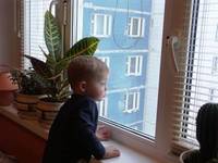 декабрь 2006