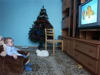 Смотрим мультики