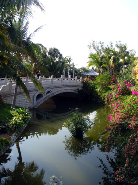 3356769.jpg