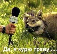 Травка
