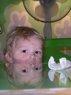 811915.jpg