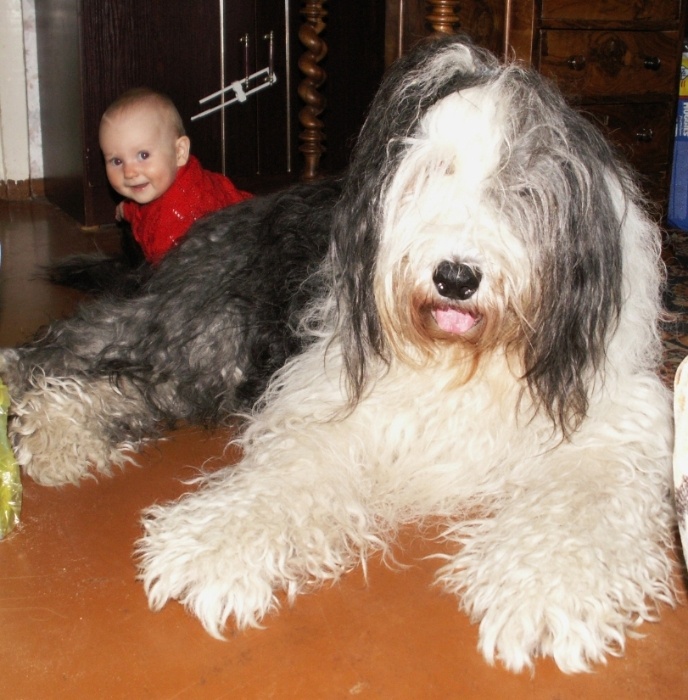 PICT0669---.jpg