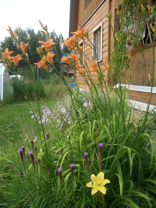 100_0704.JPG