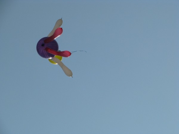IMG_3628.JPG