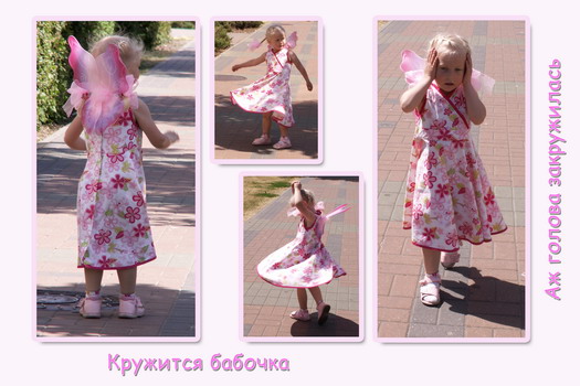 2785044.jpg