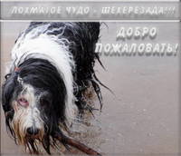 Шери