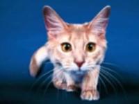 Фотография пользователя  julicat
