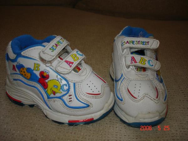 1019997.jpg