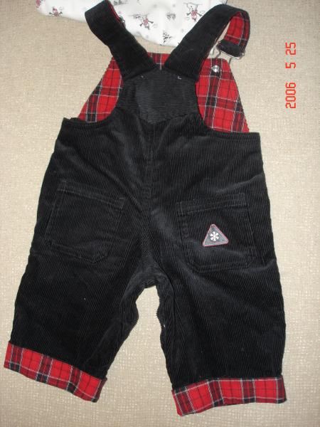 1020034.jpg