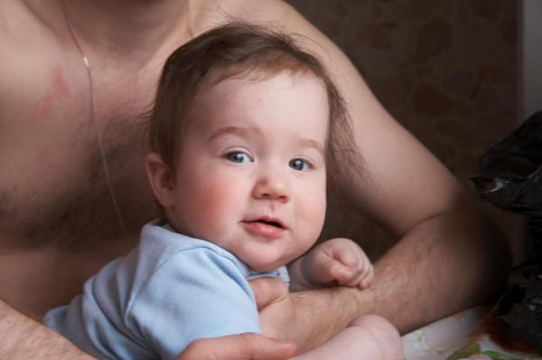 1829279.jpg