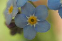Природа
