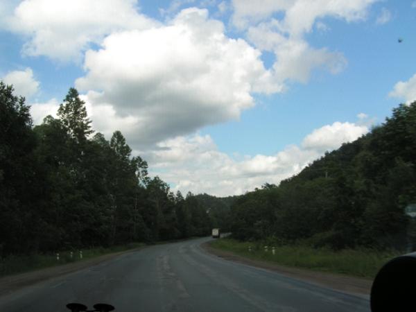 480263.jpg