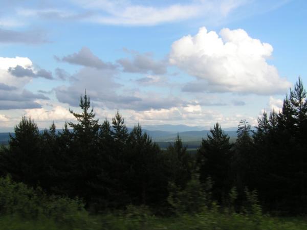 480266.jpg