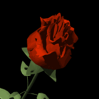 936523.gif