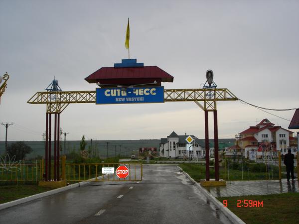 441966.jpg