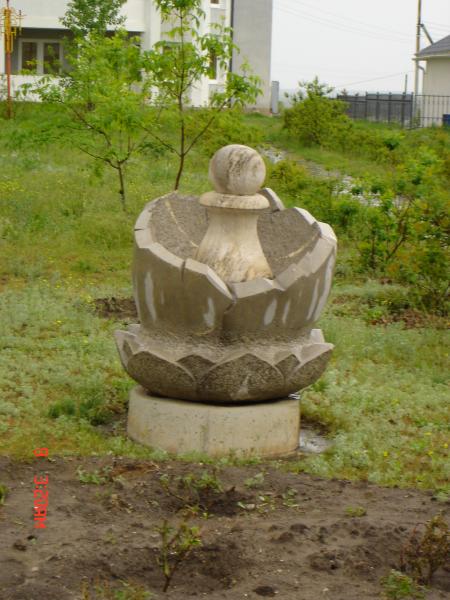 441980.jpg