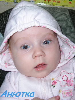 1438307.jpg