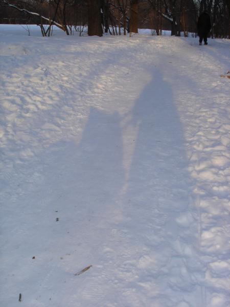 853621.jpg