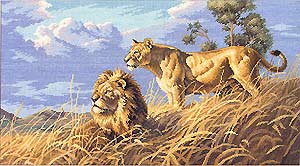 550577.jpg