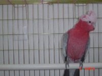 Фотография пользователя  Мулик25