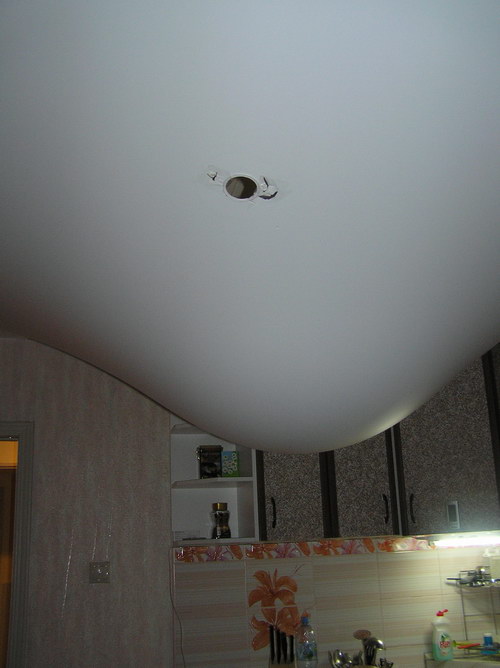 P8310154_1.jpg