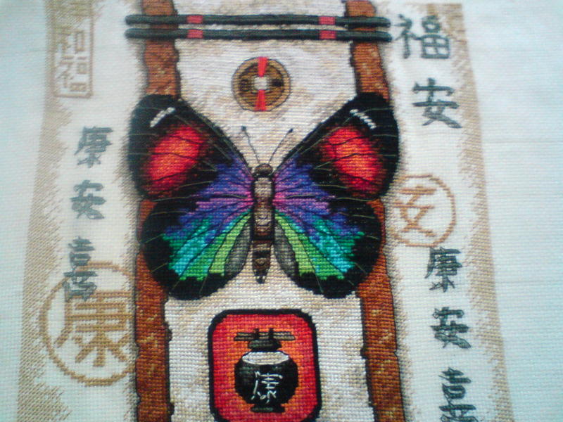 3050858.jpg