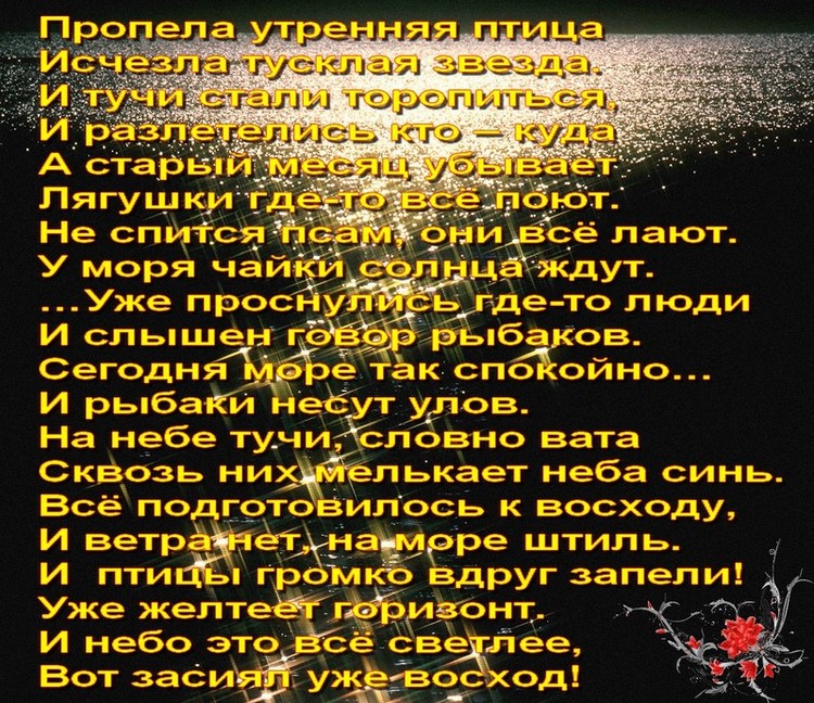 2911428.jpg