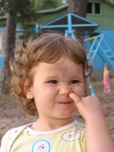 2167674.jpg