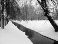 Фотоконкурс: В снежном заточении