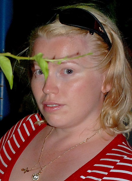 я2.jpg